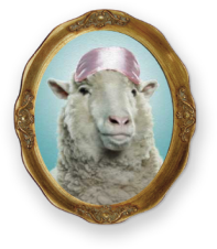 Retrato de una oveja